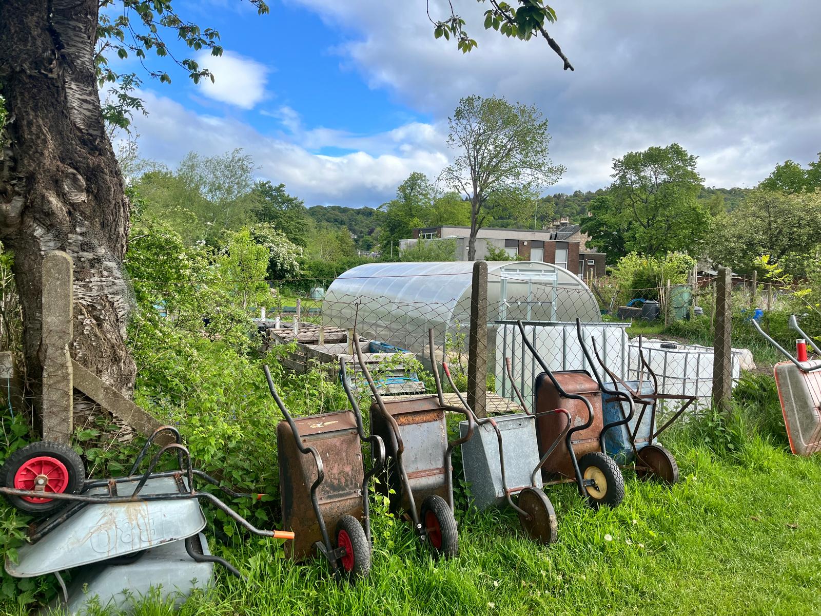 allotment photo