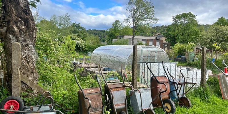 allotment photo